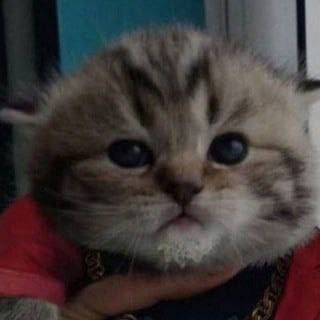 Михаил Кочаков